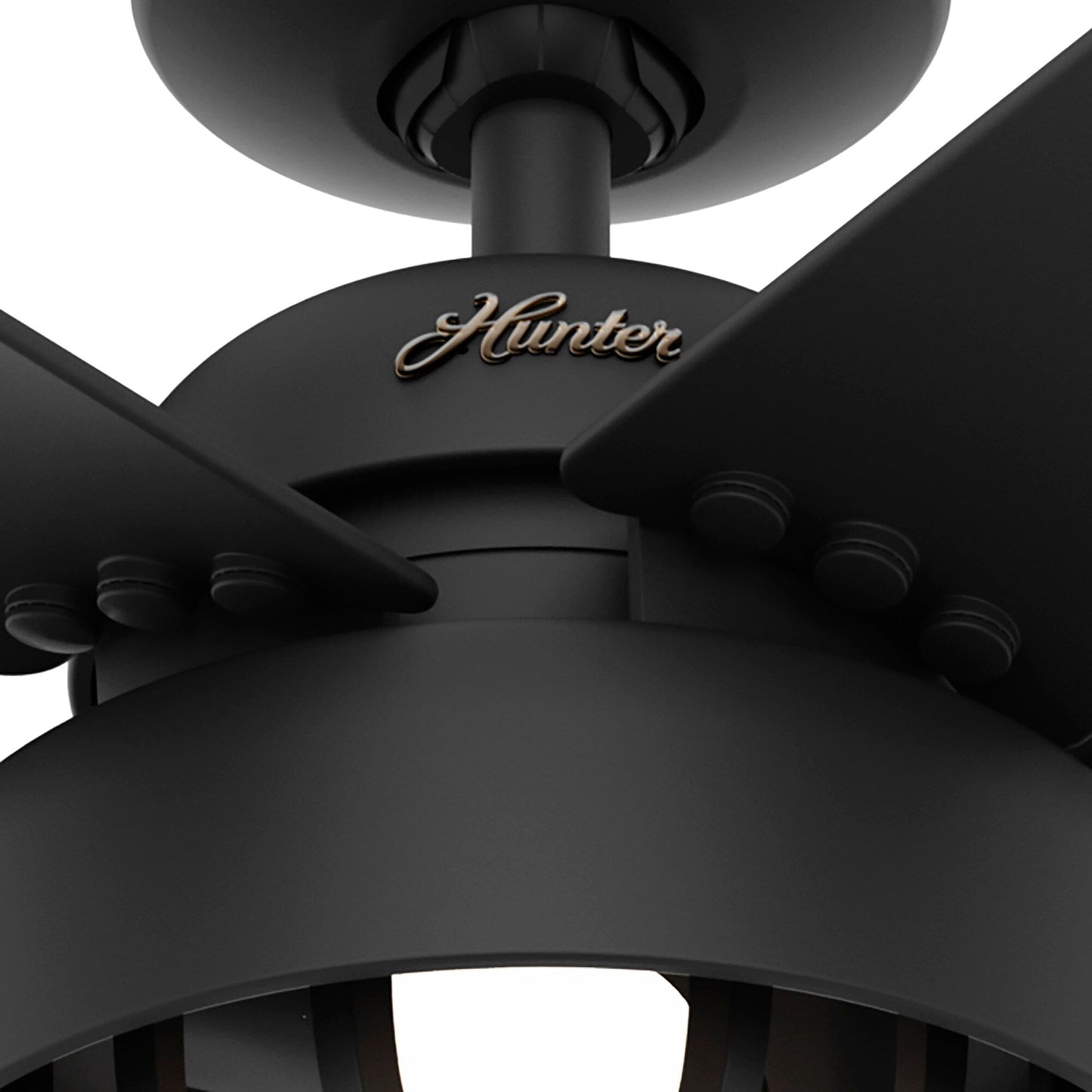 Ventilateur de plafond Hunter 52 Autumn Breeze II, intérieur/extérieur, avec éclairage LED et télécommande - Style industriel, transitionnel, moderne, cage.
