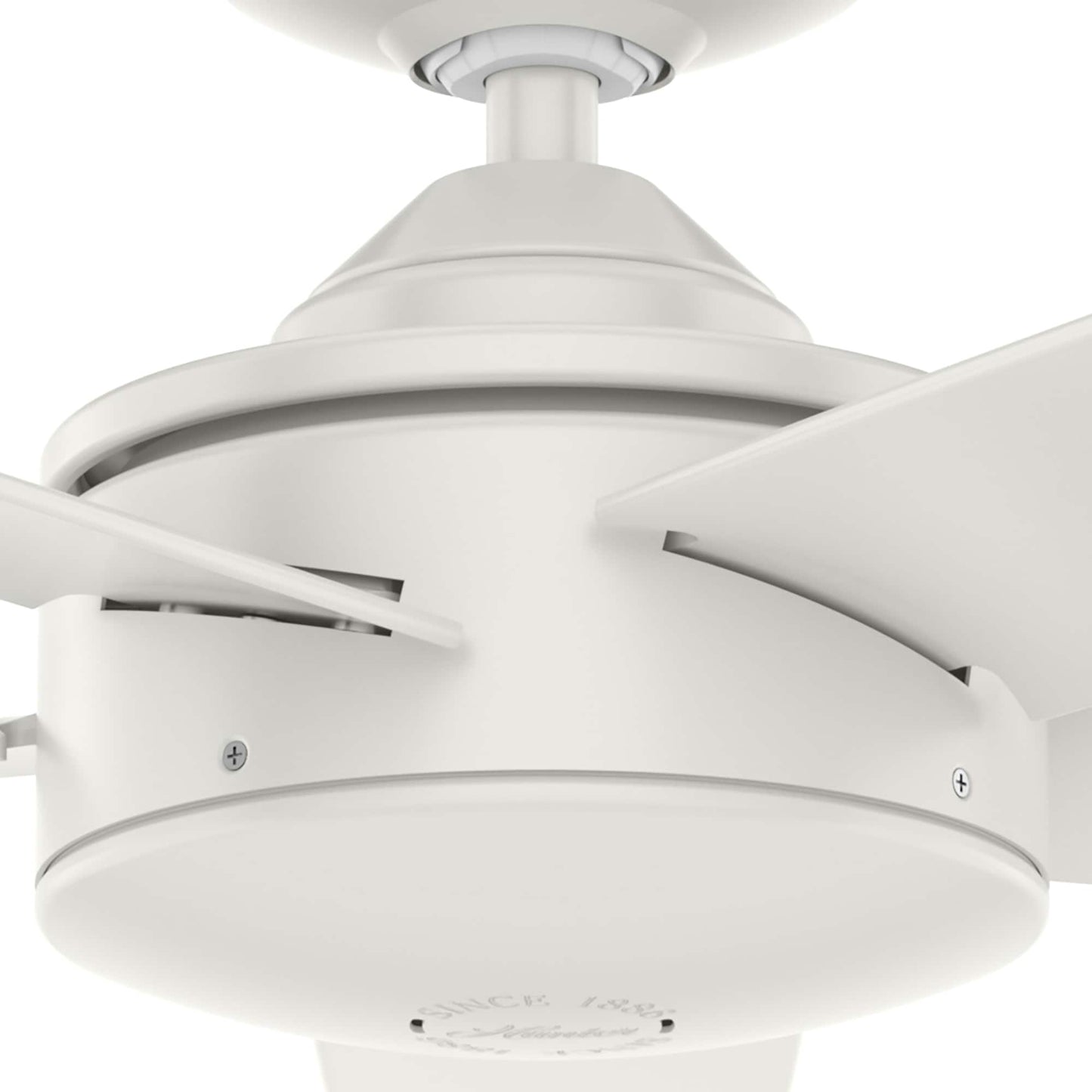 Ventilateur de plafond Hunter 52 Shorebreak WeatherMax pour intérieur/extérieur avec commande murale - Résistant aux intempéries, au sel et à la corrosion.