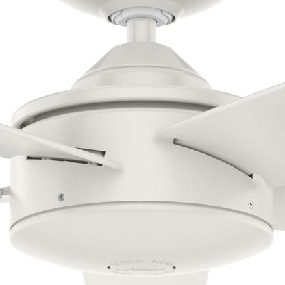 Ventilateur de plafond Hunter 52 Shorebreak WeatherMax pour intérieur/extérieur avec commande murale - Résistant aux intempéries, au sel et à la corrosion.