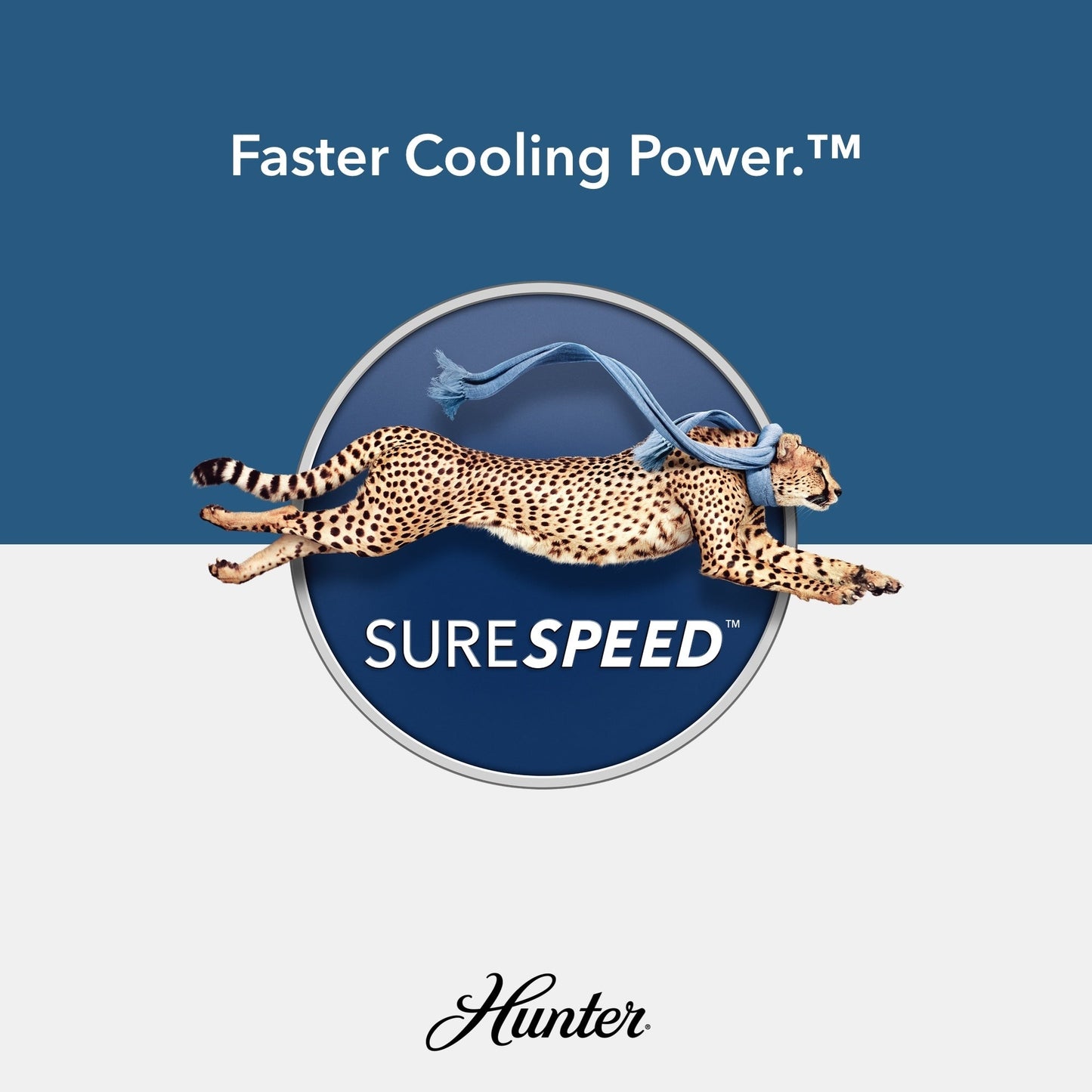 Ventilateur de plafond Hunter 52 Shorebreak WeatherMax pour intérieur/extérieur avec commande murale - Résistant aux intempéries, au sel et à la corrosion.