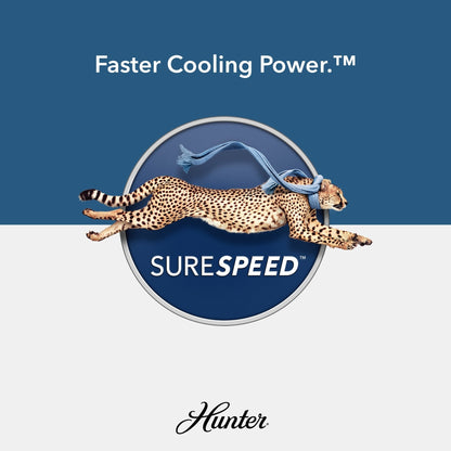 Ventilateur de plafond Hunter 52 Shorebreak WeatherMax pour intérieur/extérieur avec commande murale - Résistant aux intempéries, au sel et à la corrosion.