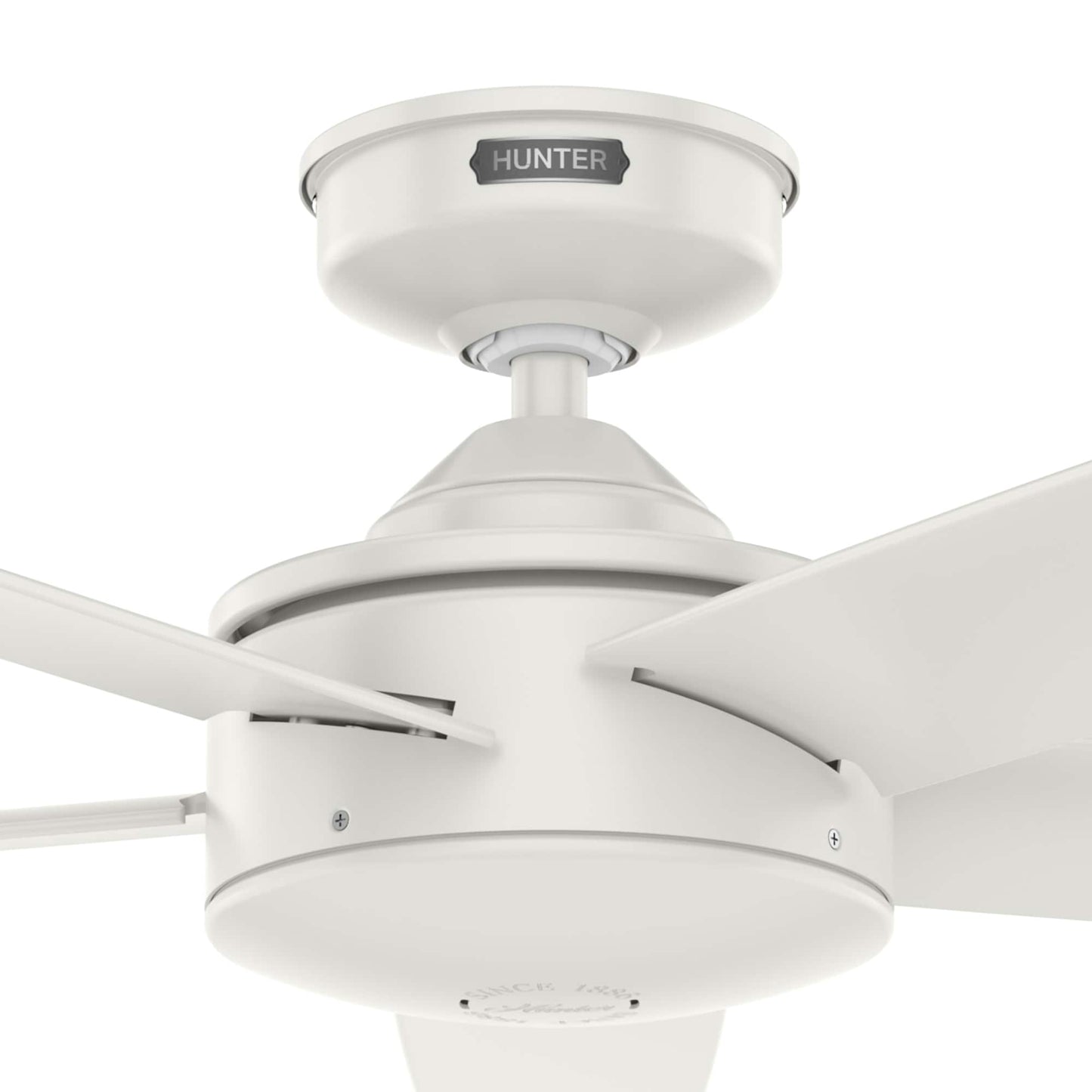 Ventilateur de plafond Hunter 52 Shorebreak WeatherMax pour intérieur/extérieur avec commande murale - Résistant aux intempéries, au sel et à la corrosion.