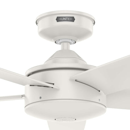 Ventilateur de plafond Hunter 52 Shorebreak WeatherMax pour intérieur/extérieur avec commande murale - Résistant aux intempéries, au sel et à la corrosion.