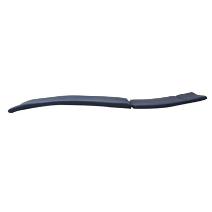 Ensemble de coussins d'extérieur Salem pour chaise longue - Coussins uniquement (lot de 2) par Christopher Knight Home - 79,25L x 27,50l x 1,50h