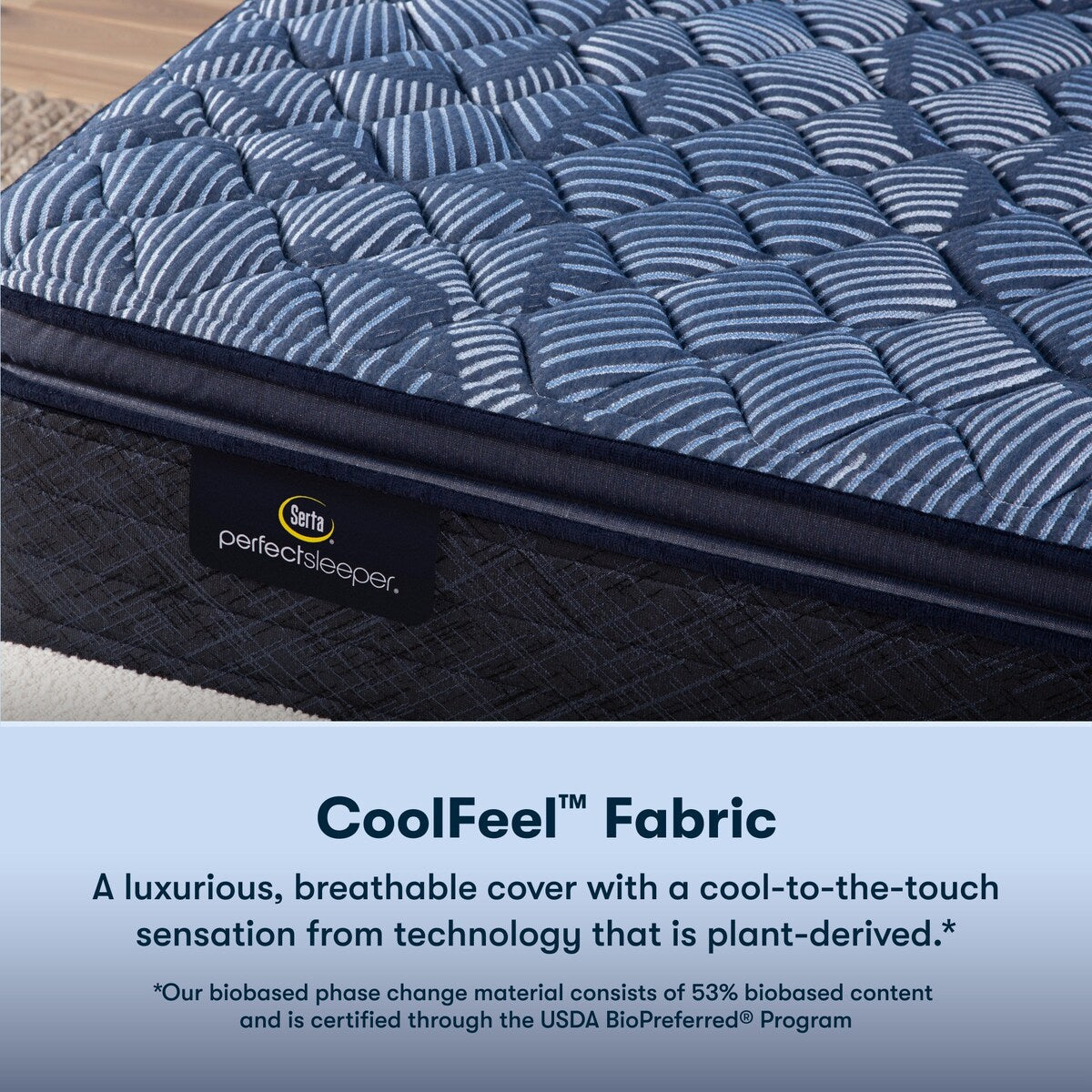 Ensemble de matelas Serta Perfect Sleeper Oasis Sleep 14.5 à surcouche ferme
