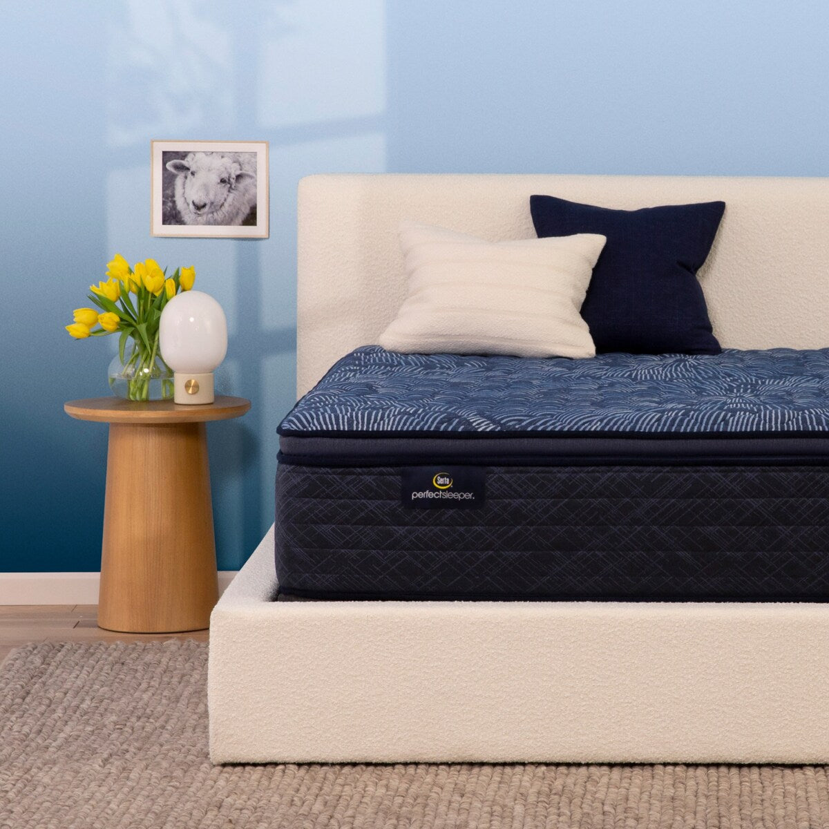 Ensemble de matelas Serta Perfect Sleeper Oasis Sleep 14.5 à surcouche ferme