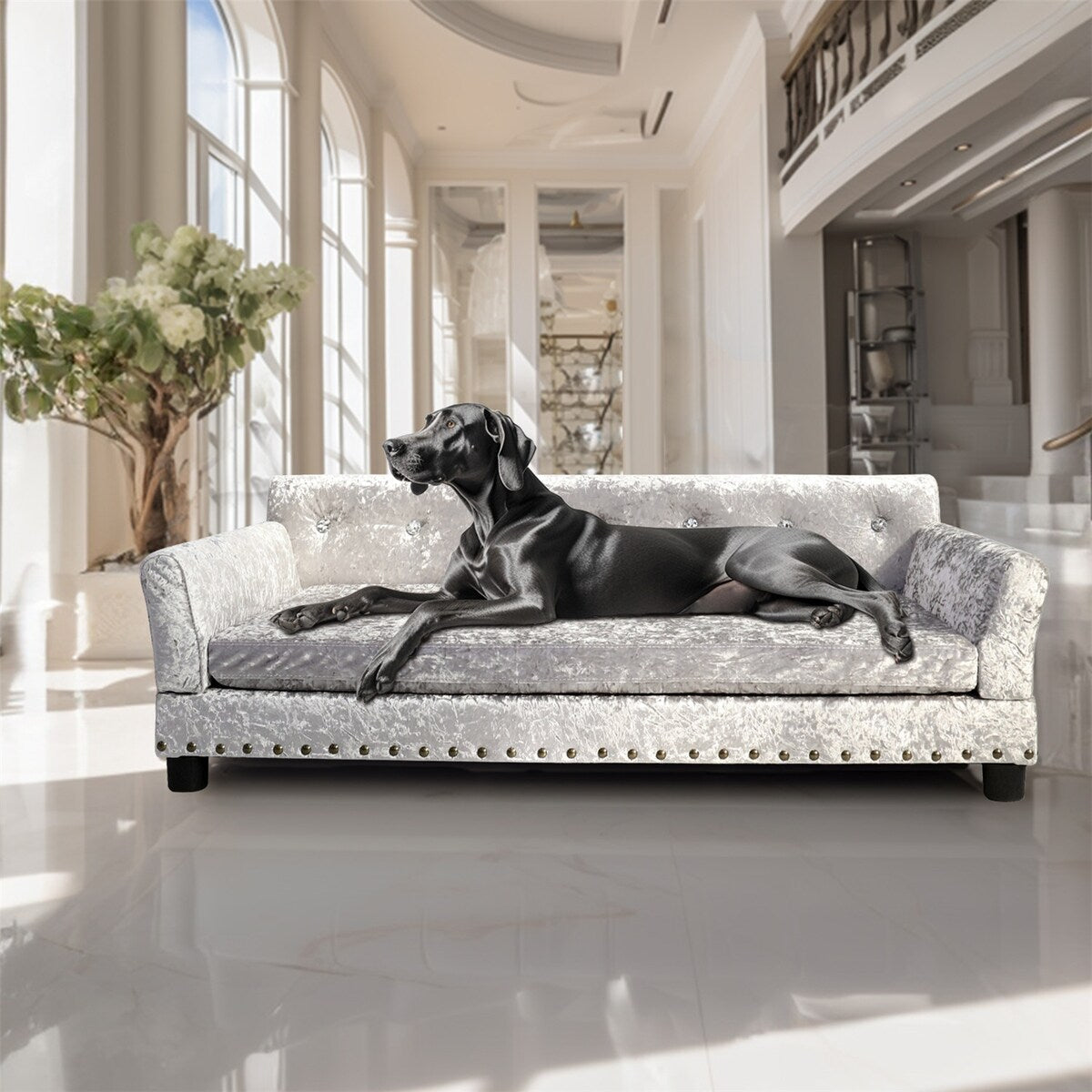 Lit pour animaux de compagnie en forme de canapé en velours capitonné, recouvert de tissu et doté d'un coussin amovible.