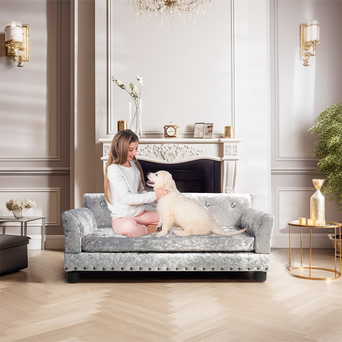 Lit pour animaux de compagnie en forme de canapé en velours capitonné, recouvert de tissu et doté d'un coussin amovible.