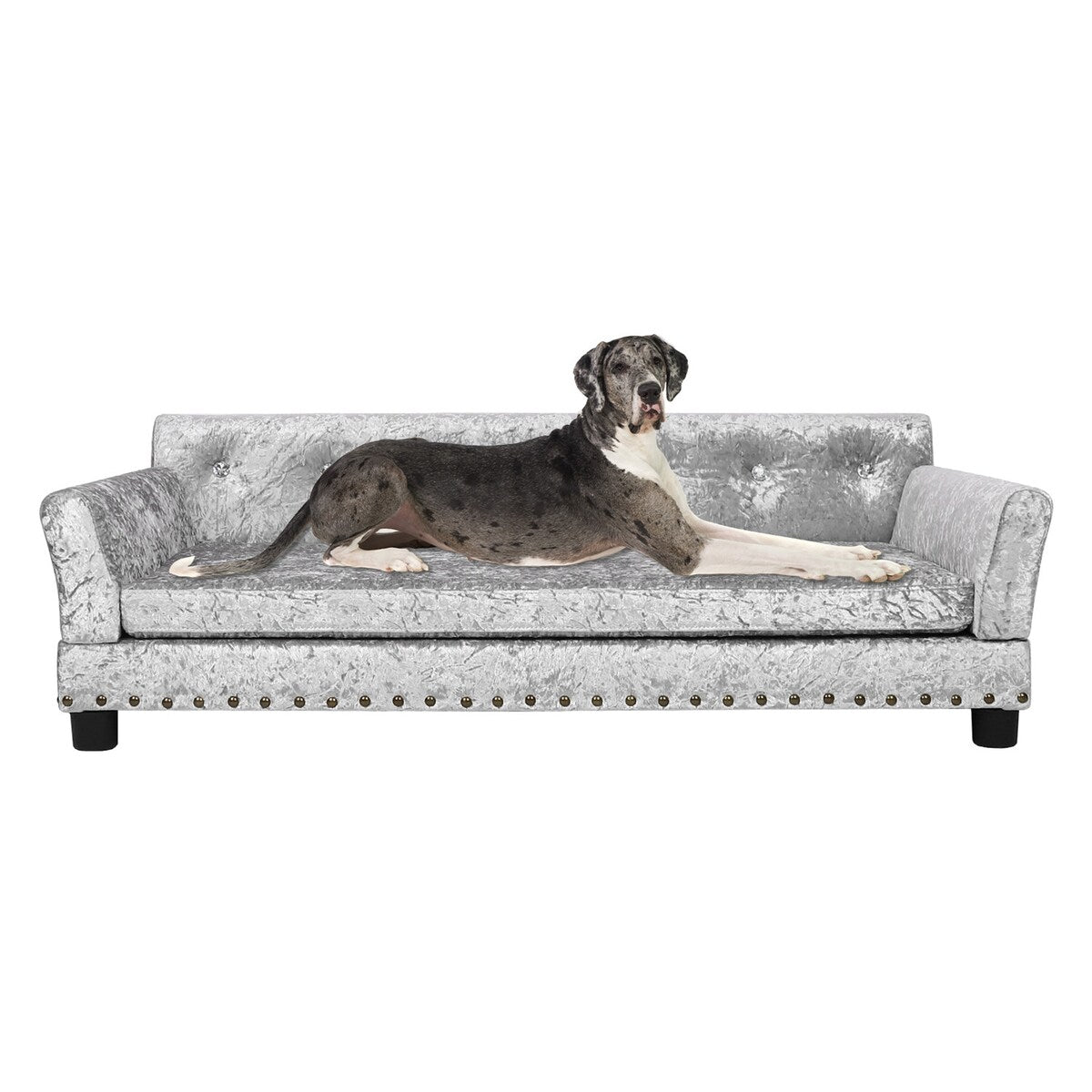 Lit pour animaux de compagnie en forme de canapé en velours capitonné, recouvert de tissu et doté d'un coussin amovible.